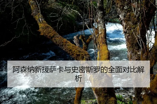 阿森纳新援萨卡与史密斯罗的全面对比解析